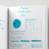 Diamine Inkvent Bliss Inchiostro 50 ml Green Edition