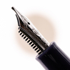 Sailor 1911 Standard Penna Stilografica Ohwan Jellyfish Edizione Limitata