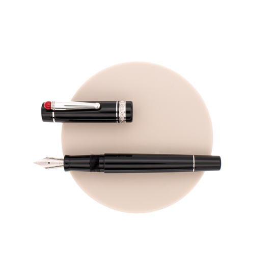 Delta Wè 17 Fountain Pen Black