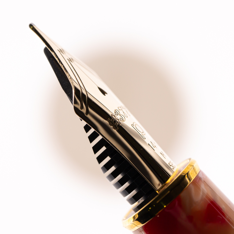 Platinum Platinum 3776 Century Celluloid Penna Stilografica Koi