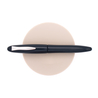 Platinum Platinum Izumo Iro Urushi Fountain Pen Aitetsu Iro
