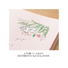 Midori Midori Transfer Sticker Adesivi Piante