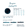 Bungubox Bungubox Ink Tells More Sanctuary Blue Ink Bottle 30 ml
