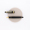 Sailor 1911 Standard 21KT Penna Stilografica Nera