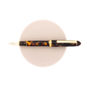 Platinum Platinum 3776 Century Celluloid Fountain Pen Tortoise