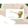 Wearingeul Wearingeul Pinocchio Ink Swatch Card