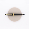 Sailor 1911 Standard 21KT Penna Stilografica Nera