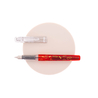 Platinum Platinum Preppy Wa Modern Maki-e Fountain Pen Hyotan Limited Edition
