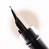 Platinum Platinum Preppy Wa Modern Maki-e Fountain Pen Hyotan Limited Edition