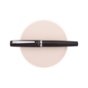 Platinum Platinum Procyon Penna Stilografica Shadow Mica