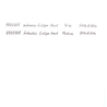 Nahvalur Nahvalur Eclipse Penna Stilografica Pure Gold