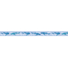 MT Masking Tape MT x Maruichikyu Washi Tape Squalo Balena