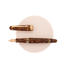 Aurora Aurora 88 Viaggio Segreto in Italia Penna Stilografica Cremona Edizione Limitata