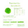 Ferris Wheel Press Ferris Wheel Press Lores of the Loch Ink Bottle 10 ml