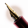 Kaweco Kaweco Sport Collection Penna Stilografica Honey Edizione Limitata 2025