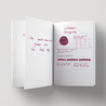 Noodler's Burgundy Inchiostro 3 oz