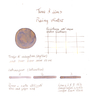 Tono & Lims Tono & Lims Friendship Rainy Winter Ink Bottle 30 ml