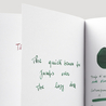 Noodler's Green Marine Inchiostro 3 oz
