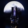 Dominant Industry Ink Dominant Industry Standard The Moon Ink Bottle 25 ml