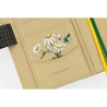 Hobonichi Hobonichi Tolight: Garden of Botany A6 [Cover Only]