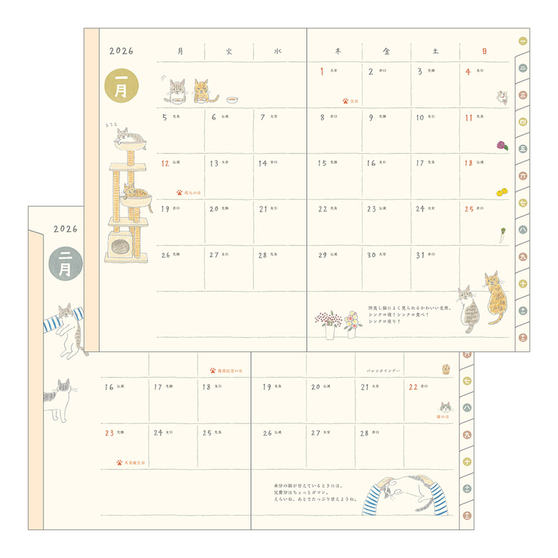 Midori Midori Pocket Diary 2026 Agenda Settimanale B6 Gatti
