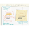 Midori Midori Motif Template Gatto