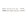Sailor Sailor King of Pen Tamenuri Raden Penna Stilografica Nami Edizione Limitata