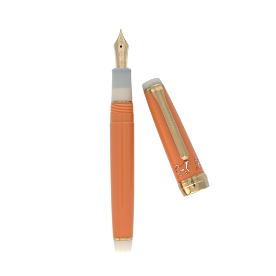 Sailor Professional Gear Slim Penna Stilografica Shiba Inu Edizione Limitata