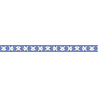 MT Masking Tape MT x Papier Tigre Washi Tape Tigre Blue