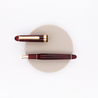 Platinum 3776 Century Penna Stilografica Bourgogne