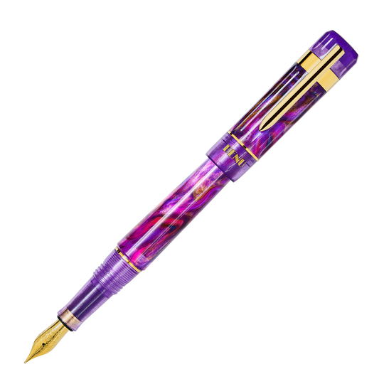 Benu Tribute Penna Stilografica Matisse