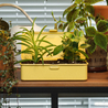 Toyo Steel Toyo Steel T-190 Toolbox Italian Yellow