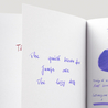 Pilot Iroshizuku Murasaki-Shikibu Inchiostro 15 ml