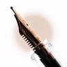 TWSBI Twsbi Eco Penna Stilografica Rootbeer & Bronze