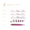 Ferris Wheel Press Ferris Wheel Press Bloom of Ascension Ink Bottle 20 ml