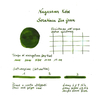 Nagasawa Nagasawa Kobe Monogatari Sorakuen Tea Green Inchiostro 50 ml