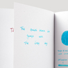 Diamine Diamine Inkvent Let it Snow Ink Bottle 50 ml Teal Edition Chameleon