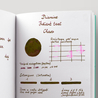 Diamine Diamine Inkvent Chaos Inchiostro 50 ml Teal Edition Extreme Sheen