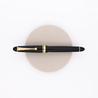 Pilot Custom 742 Falcon Fountain Pen Black