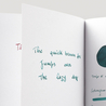 Noodler's Turquoise Inchiostro 3 oz