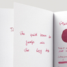 Noodler's V-Mail Mandalay Maroon Ink Bottle 3 oz